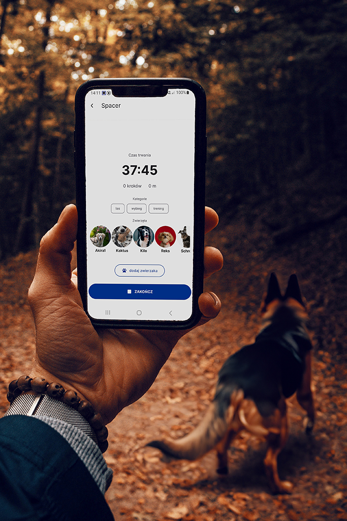 Rejestracja spacerów